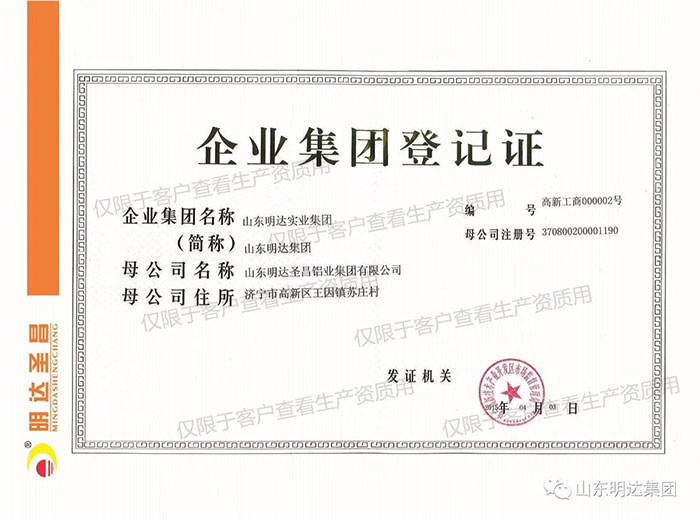 企業(yè)集團(tuán)登記證